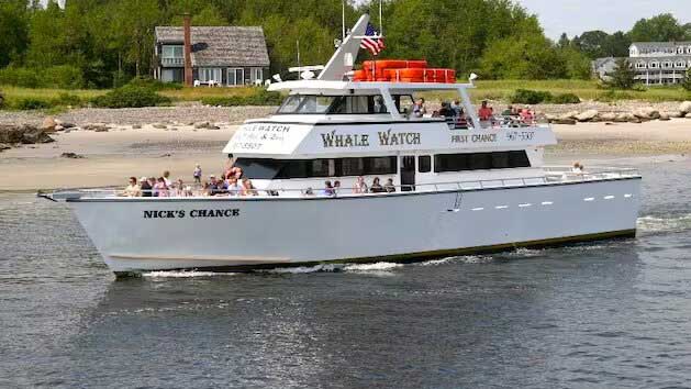 First Chance Whale Watch Boat