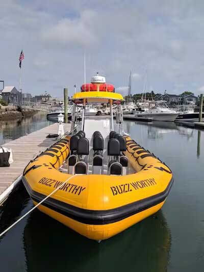 Eco Adventures Boat - RIB