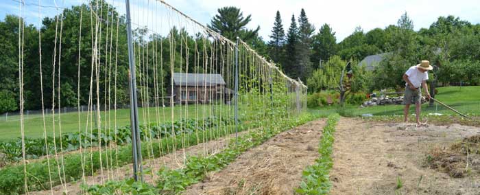 Joshua's Restaurant "Easter Orchard" Family Farm