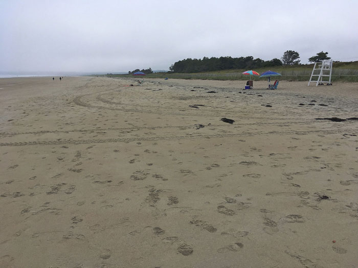 Ogunquit North Beach
