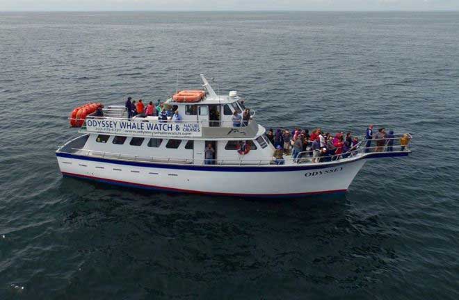Odyssey Whale Watch Boat