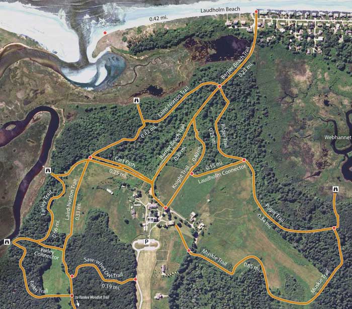 Wells Reserve at Laudholm Trail Map