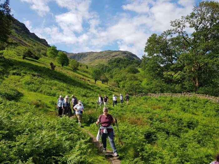 Women Walking Group