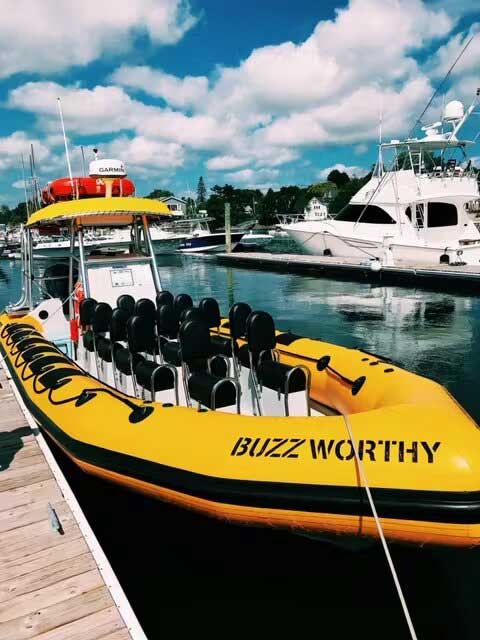 Eco Adventures Boat - RIB