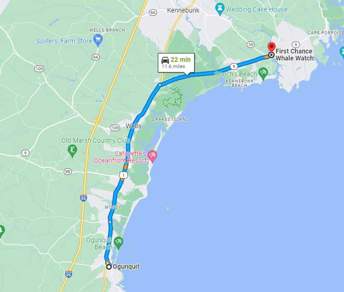 First Chance Whale Watch Map