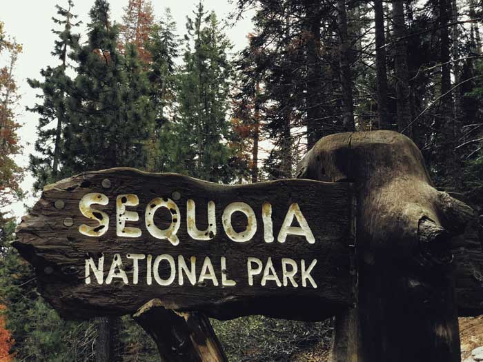 Sequoia National Park